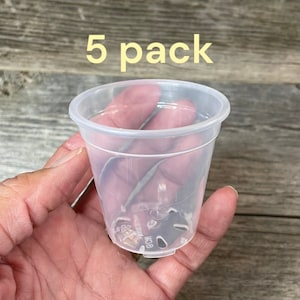 2.5” round ultra clear seedling orchid pot (5 COUNT), Clear plastic pot, Plastic flower pot for orchids