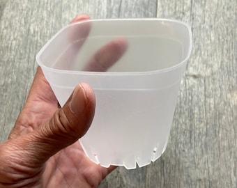 3.75” round cornered clear square orchid pot, Clear plastic pot, Clear pot for succulents, Seedling plant pot, Pots for cactus