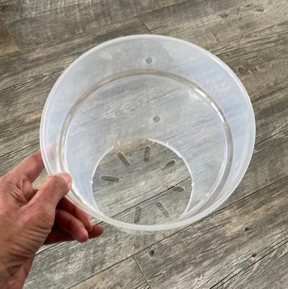 LOT DE 6 Pots Transparents Avec Trous De Drainage