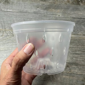 5” clear orchid pot with holes, Clear plastic pot, Plastic flower pot for orchids, Clear round pot for orchids