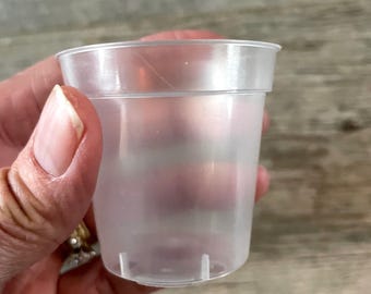 2” round clear tiny seedling pot for orchids and small tropical plants.  Pot for starting cuttings.