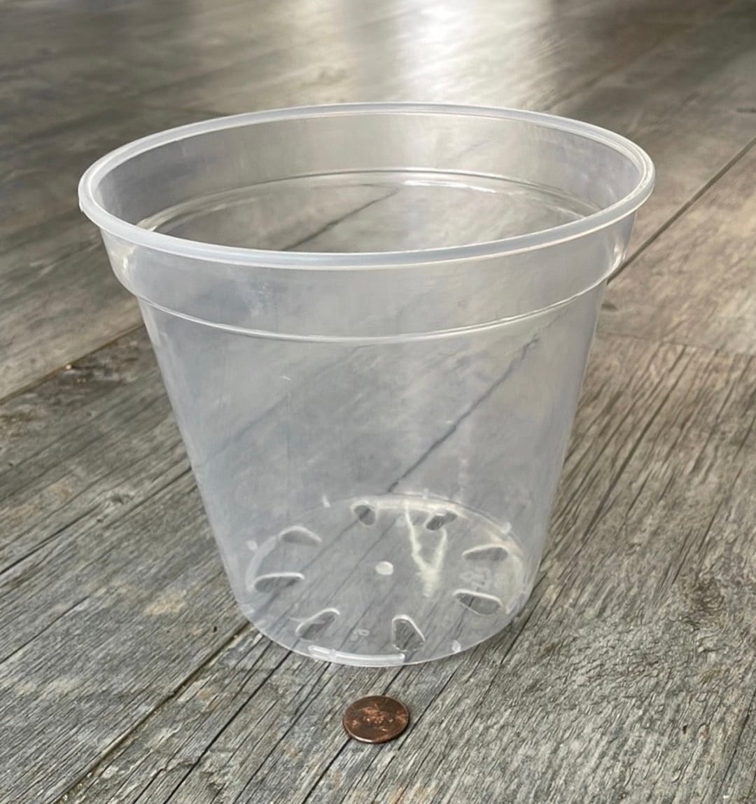 6 Round Ultra Clear Orchid Pot, Clear Plastic Pot, Plastic Flower Pot