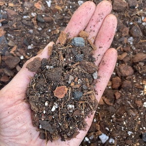 Cymbidium orchid potting mix,  Rich organic orchid mix, Soil based tropical plant potting medium, Small batch made and ready to ship