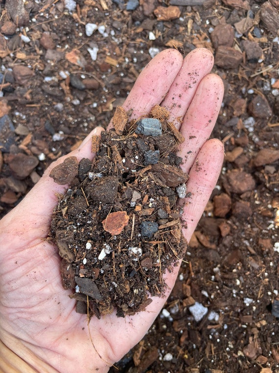 Cymbidium Orchid Potting Mix, Rich Organic Orchid Mix, Soil Based Tropical Plant  Potting Medium, Small Batch Made and Ready to Ship - Etsy