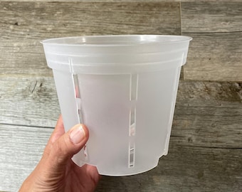 6" transparent round orchid pot with side slots, great drainage and perfect aeration.  See your plants roots grow!