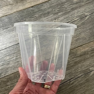 5.5” high transparency clear round orchid pot, small clear pot for tropicals, clear nursery pot, indoor plant pot, ultra clear plant pot