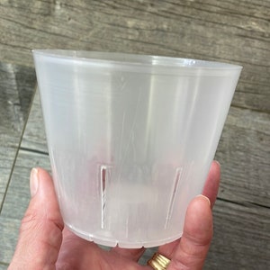 May include: A clear plastic plant pot with drainage holes. The pot is approximately 4 inches in diameter.