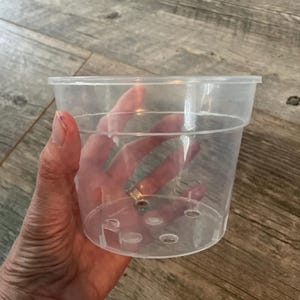 Peut inclure: Un pot de fleurs en plastique transparent et incolore, doté d'un rebord circulaire large et d'une base plate percée de plusieurs trous de drainage. Ce récipient cylindrique est conçu pour la culture des plantes et offre une visibilité totale.