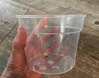 Peut inclure: Un pot de fleurs en plastique transparent et incolore, doté d'un rebord circulaire large et d'une base plate percée de plusieurs trous de drainage. Ce récipient cylindrique est conçu pour la culture des plantes et offre une visibilité totale.