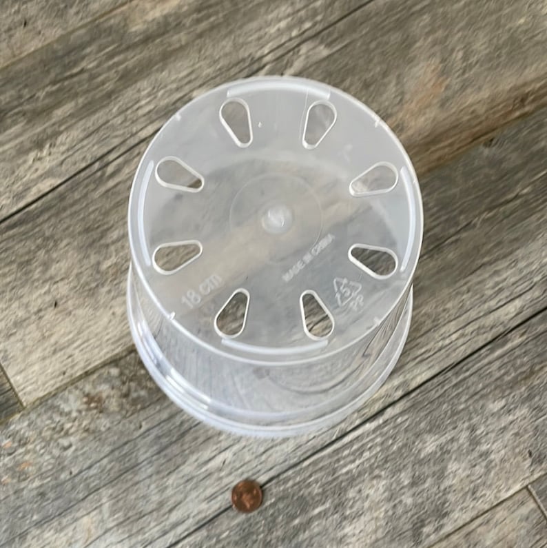 May include: Clear plastic plant saucer with drainage holes. The saucer is 18 cm in diameter and has the text "Made in China" printed on the bottom.