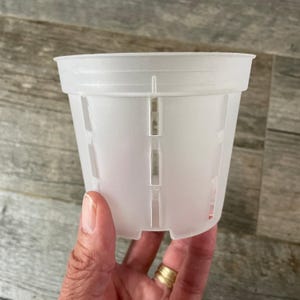 4" transparent round orchid pot with side slots, great drainage and perfect air flow