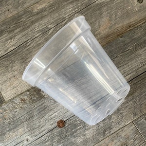 May include: A clear plastic plant pot with drainage holes in the bottom. The pot is about 6 inches in diameter and 5 inches tall.