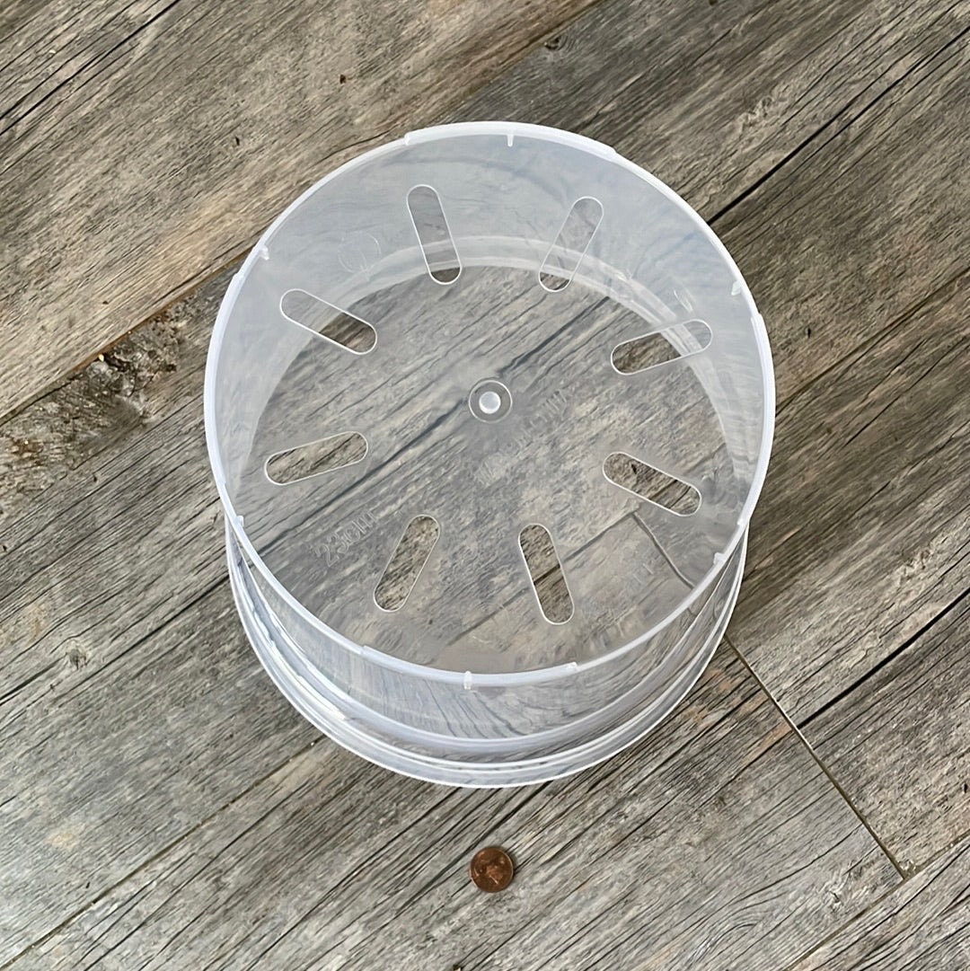 Vueinrg 10 Pezzi Vasi Trasparenti Per Orchidee,Vaso Per Orchidee Con