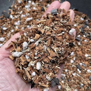 Seedling orchid mix, Fine fir bark mix, Soil for miniature orchids, Orchid repotting medium, Hand mixed in small batches