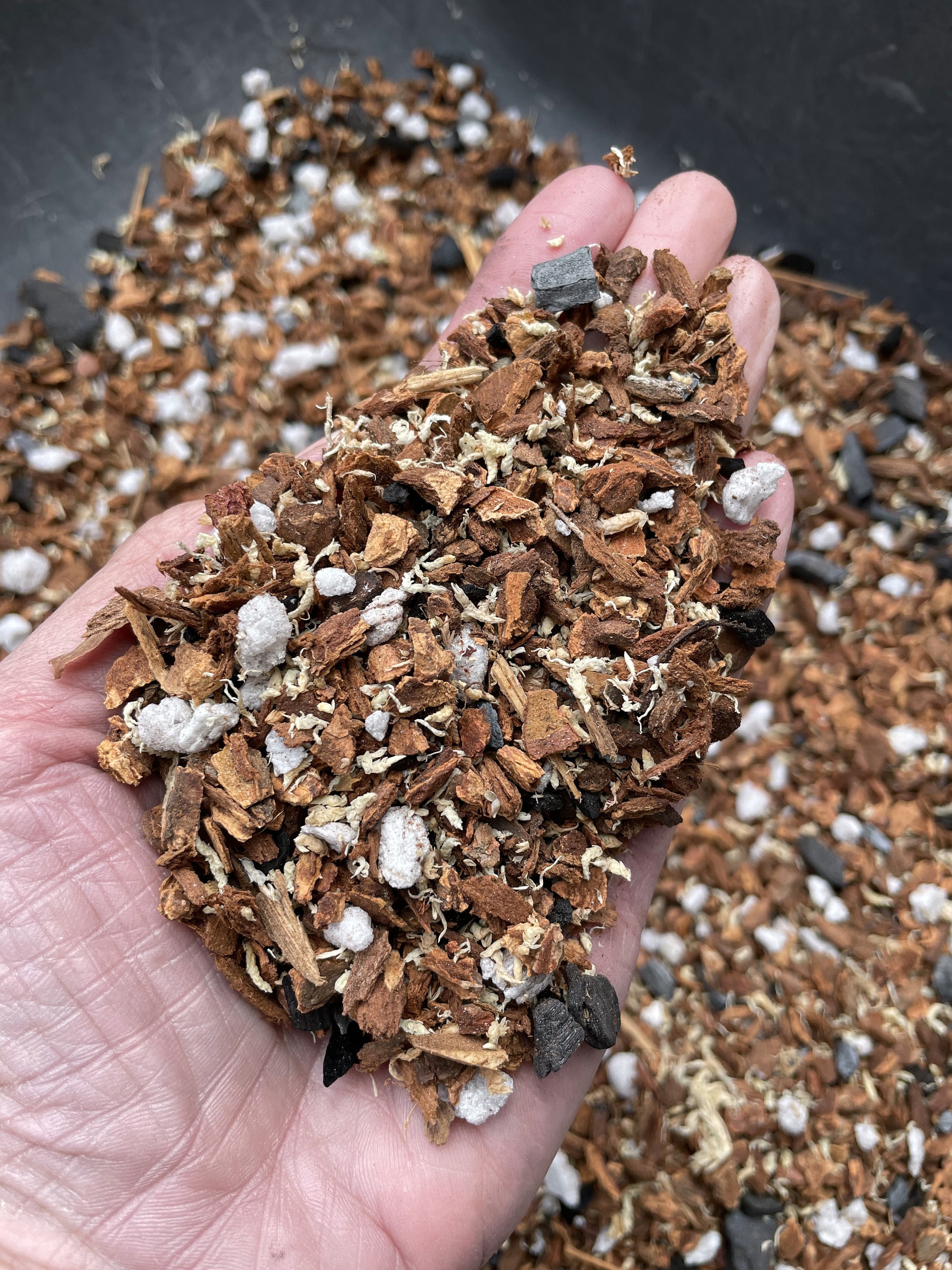 アカキン1個 120g×1 ミドキン5個 80g×2 100g×2 120g×1 il_fullxfull.3886175043_bd40.jpg