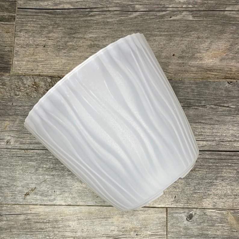 7 Translucent Round Textured Orchid Pot, With Saucer, Clear Orchid Pot