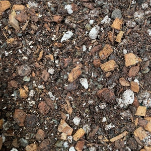 May include: Close-up of a brown potting mix with small pieces of coconut husk, bark, and white pebbles.