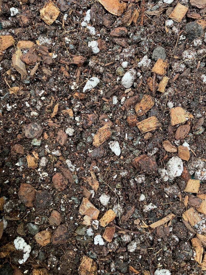 May include: Close-up of a brown potting mix with small pieces of coconut husk, bark, and white pebbles.