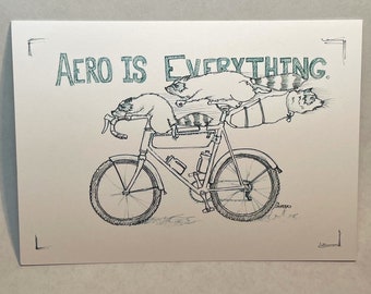 Aero Raccoons Postcard