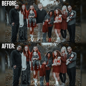 PHOTO MANIPULATIONS : retouching / adding or removing people / requests