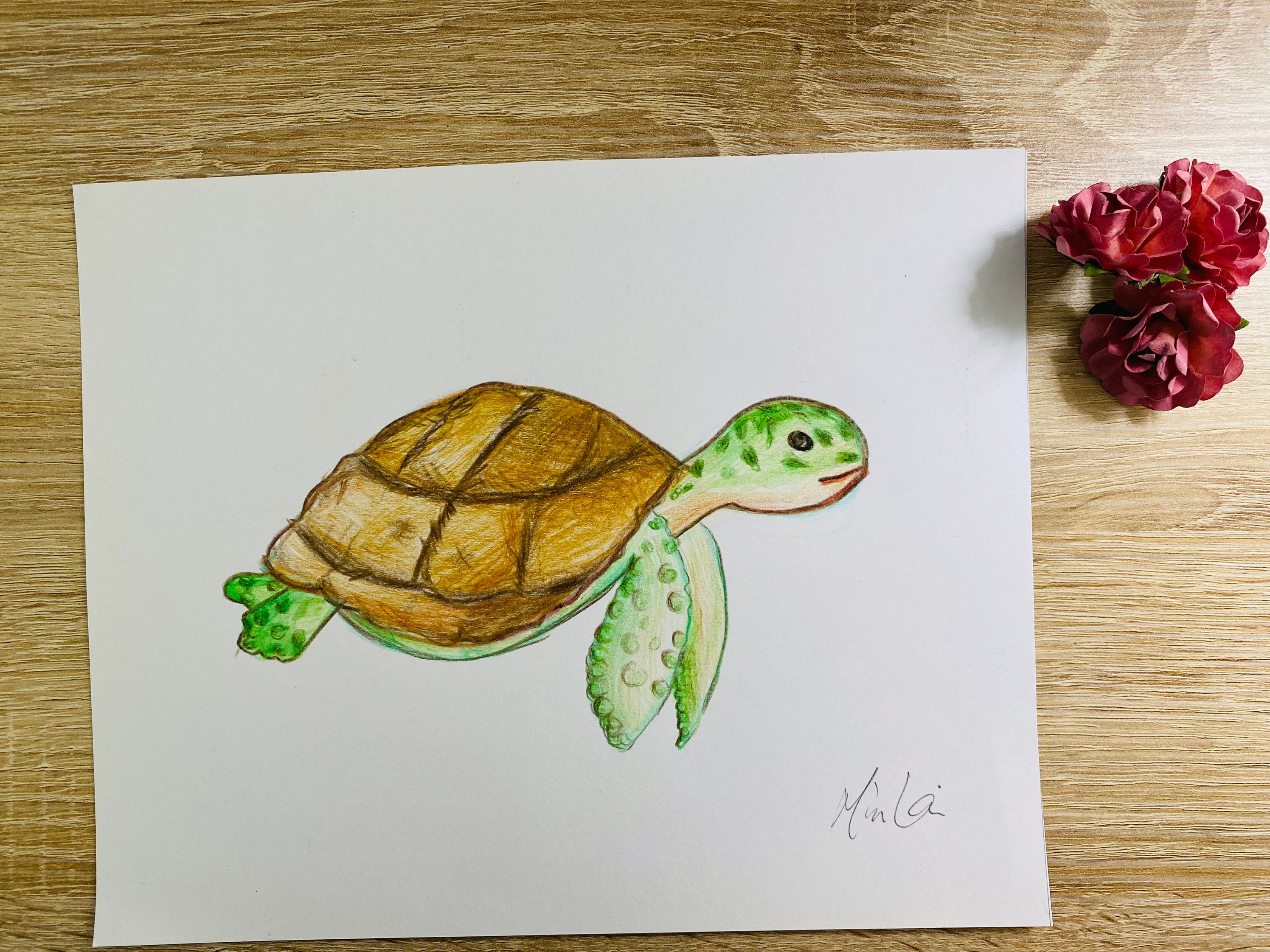 Turtle coloring for kids - Turtles Kids Coloring Pages