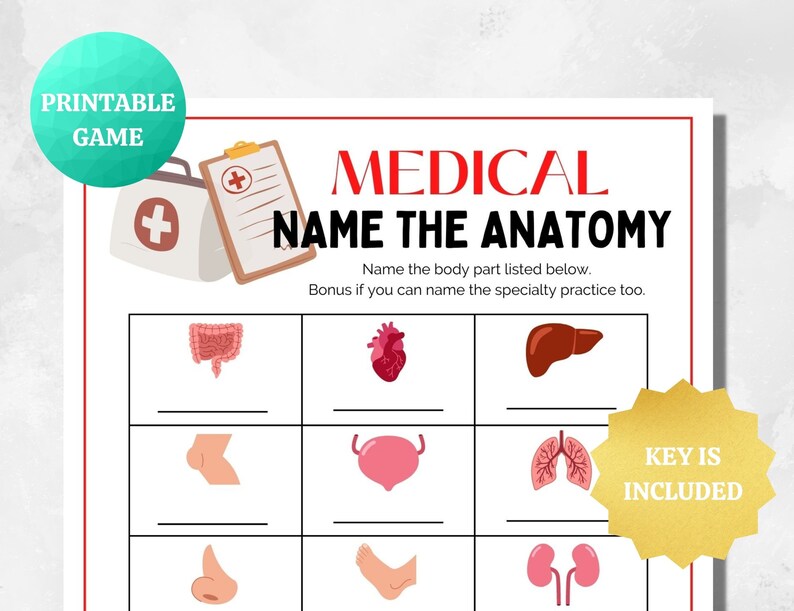Medical Name the Anatomy PRINTABLE Medical Game Doctor Etsy
