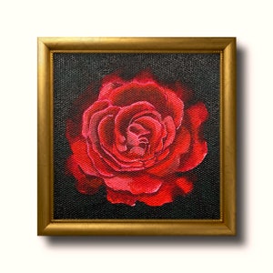 Red Rose with Wavy Petals' Photographic Print - Clive