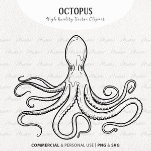 May include: Black and white line art illustration of an octopus with eight tentacles. The octopus is facing the viewer with its eyes and mouth visible. The tentacles are curled and spread out around the body. The illustration is on a white background.