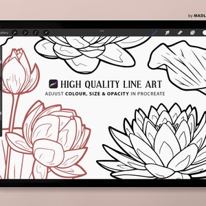 10 Procreate Lotus Flower Stamps. Water Lily Tattoo Design. July Birth ...