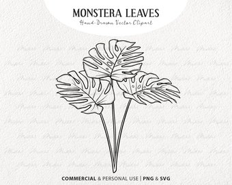 Monstera Blatt SVG Clipart. Tropisches Blatt Line Art. Botanische Vektor-Illustration. Minimal Jungle Plant Decor Art. PNG & SVG, kommerzielle Nutzung