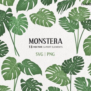 Pacchetto di clipart SVG di foglia di Monstera. 13 foglie tropicali. Illustrazioni di linee vettoriali botaniche. Arte decorativa minimale per piante della giungla. File PNG e SVG