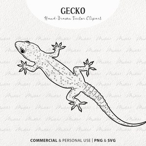 Può includere: Un disegno in bianco e nero di un geco lucertola. Il geco è rivolto a destra e ha un motivo maculato sul corpo. L'immagine è etichettata "Gecko" e "Clipart vettoriale disegnato a mano".