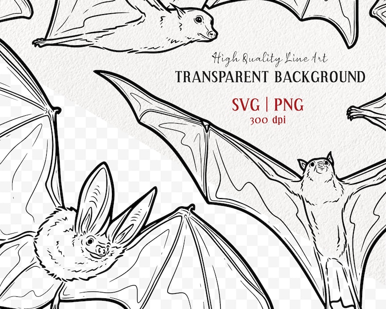 6 Bats SVG Clipart. Flying Bat Vector Art. Fruit Bat Line Etsy