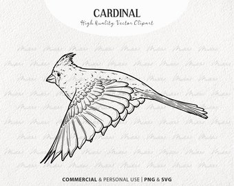 Paquete de imágenes prediseñadas vectoriales cardinales. Pequeños pájaros rojos. Conjunto de contorno de pájaros voladores. Arte lineal de pájaros. Dibujo de pájaros de invierno. Uso comercial SVG y PNG