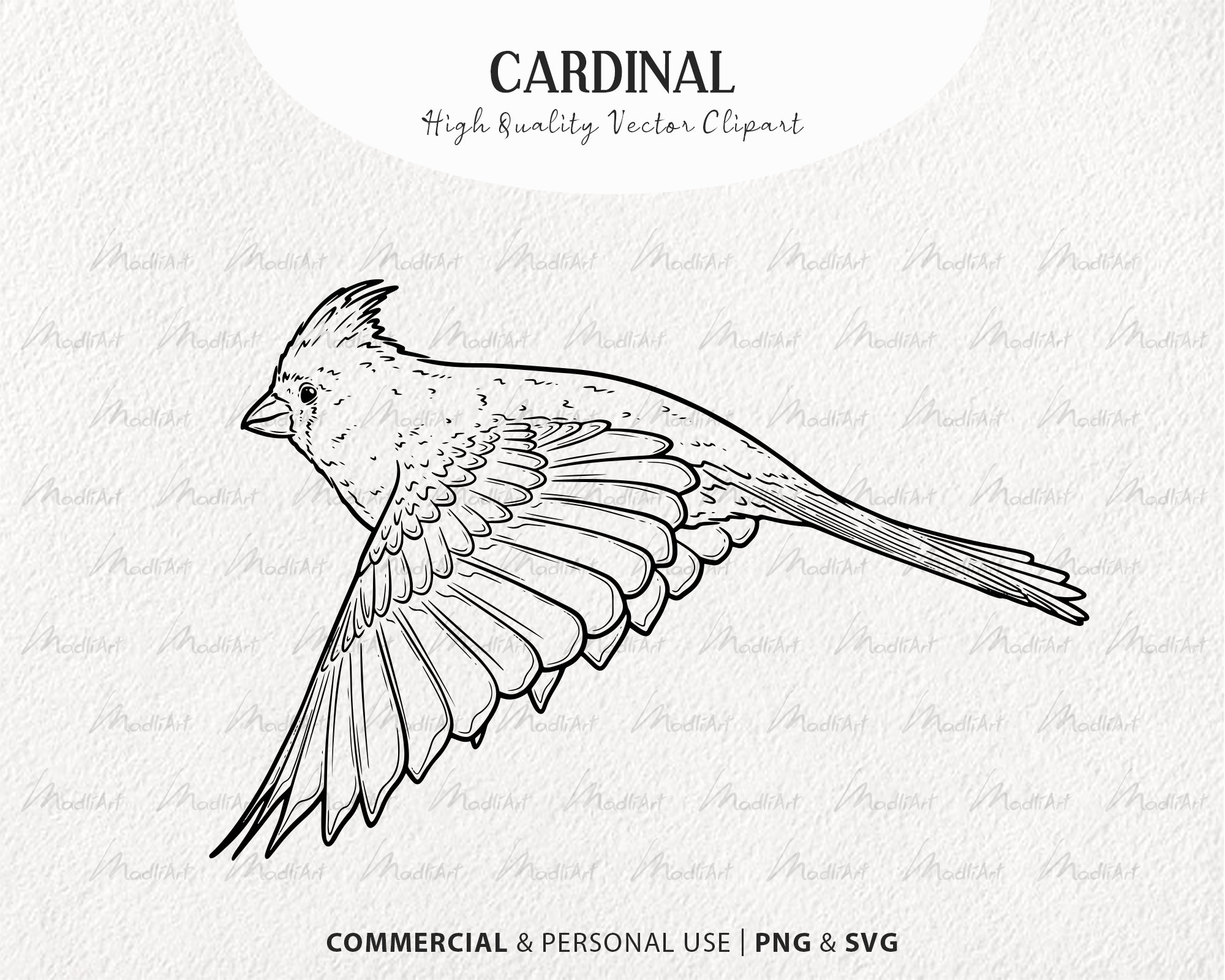 Cardinal Vector Clipart Bundle. Little Red Birds. Flying Birds Outline