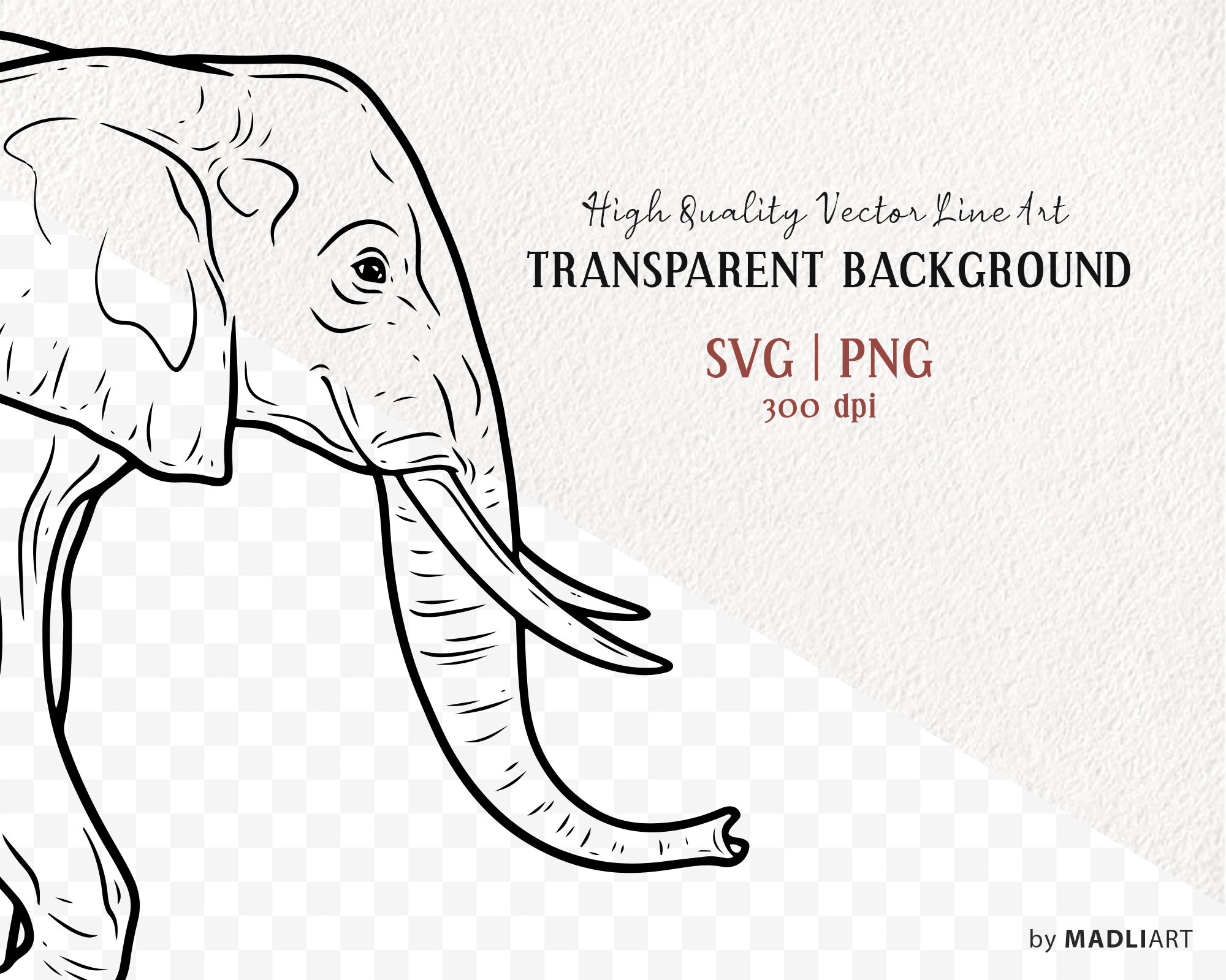 Elephant Vectordraw Elephant SVG Clipart. Elephant Vector Drawing. Safari Animal - Etsy