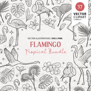 May include: A black and white illustration set of 37 tropical flamingo and foliage designs. The set includes various poses of flamingos, palm leaves, flowers, and feathers. The illustrations are perfect for creating digital or printed designs.