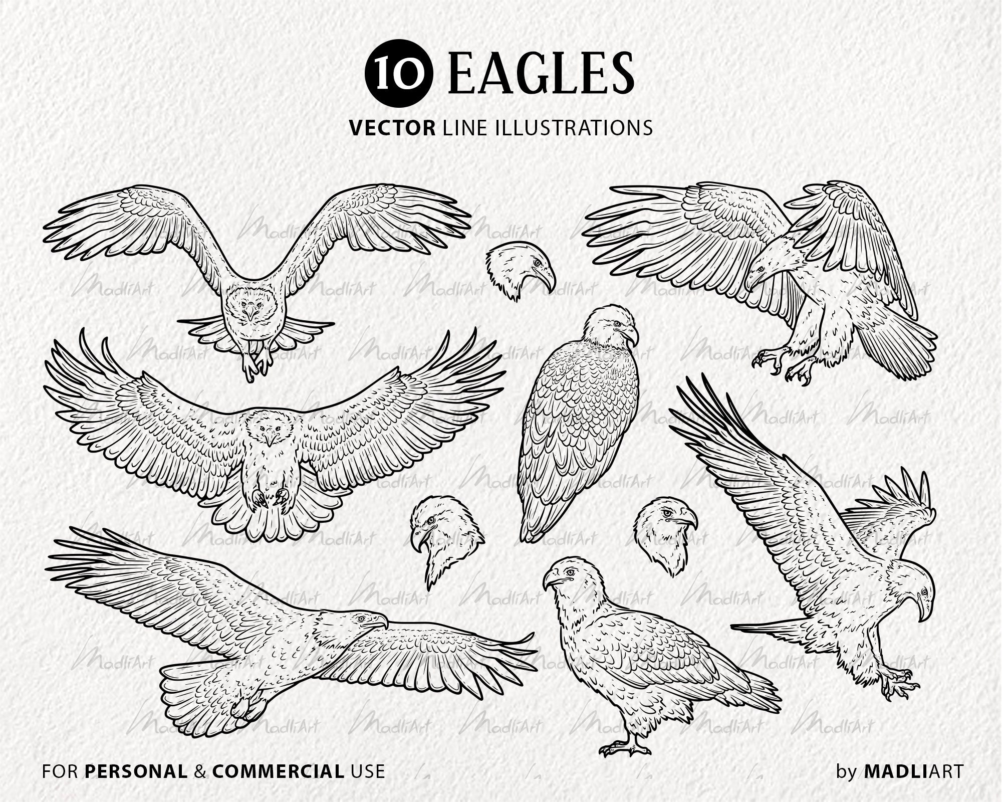 10 Eagle SVG Clipart Bundle. Bald Eagle Vector Line Drawings. Eagle