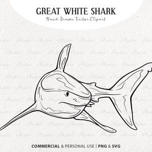 Great White Shark SVG Clipart. Shark Vector Line Drawing. Ocean Animal Line Art. Marine Mammal Stamp. Commercial PNG & SVG