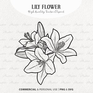 Clipart SVG de flor de lírio. Flor de Lírio Tigre. Desenho de linha de buquê de flores. Contorno do vetor do lírio da Páscoa. Primavera Flores Silvestres. PNG e SVG