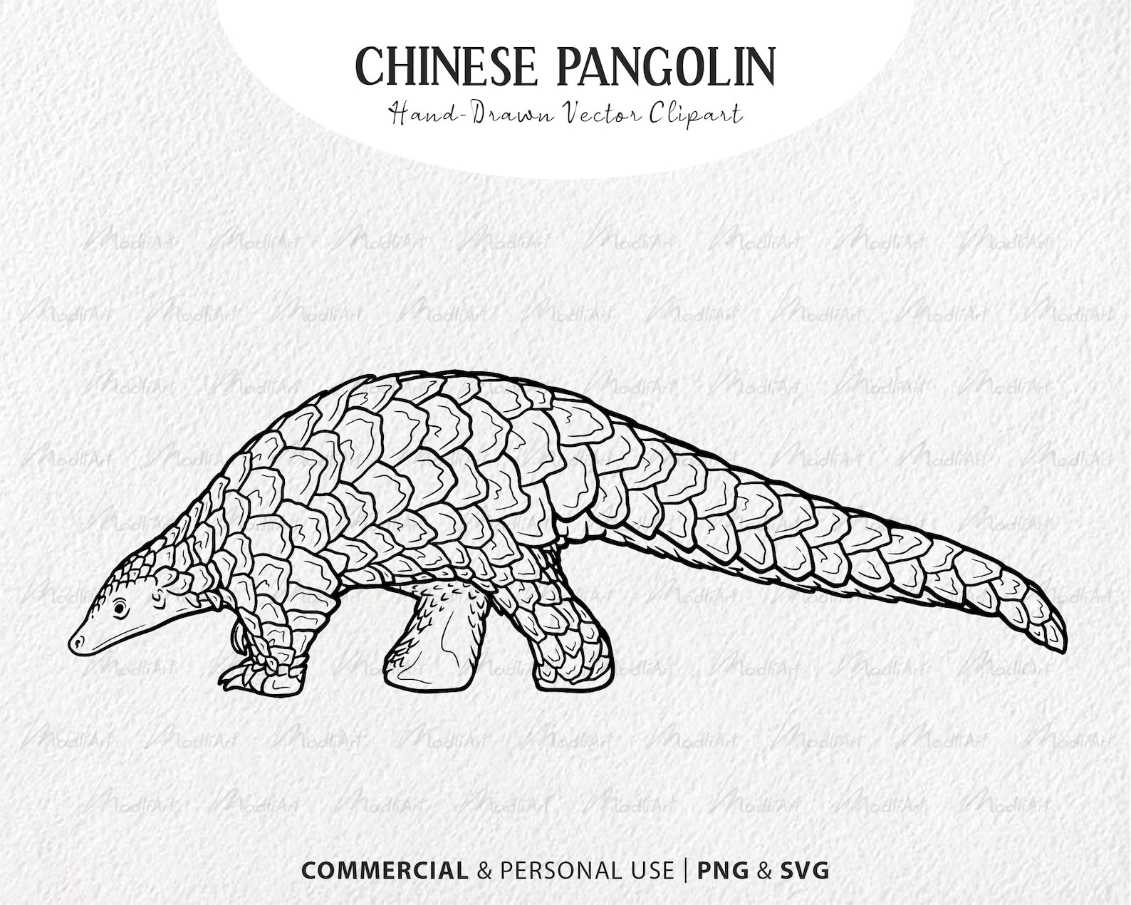 Chinese Pangolin Vector Clip Art. Endangered Animal Artwork. - Etsy