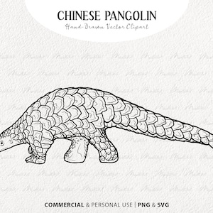 Chiński Pangolin Wektor Clipart. Zagrożony Pangolin SVG Rysunek. Minimalistyczny Ssak Line Art. PNG i SVG z licencją komercyjną