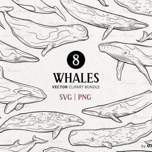 May include: A set of eight black and white line drawings of different types of whales. The drawings are in a simple, stylized style. The text "8 WHALES VECTOR CLIPART BUNDLE SVG | PNG" is at the bottom of the image.