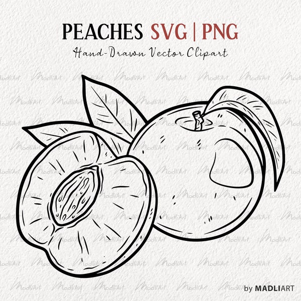 Peach SVG Clipart. Vector Peach Drawing. Peach Fruit, Leaves Line Illustration. Peach PNG & SVG files