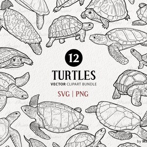 12 Turtles SVG Clipart Bundle. Sea Turtle & Land Tortoise Vector Artwork Set. Cute Green Turtle. Reptile Line Drawing. Commercial SVG, PNG.