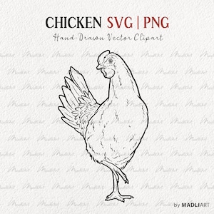 Chicken SVG Clipart. Farm Bird Vector Art. Hen Outline Drawing. Bird Line Art. Chicken Drawing. Commercial Use SVG & PNG