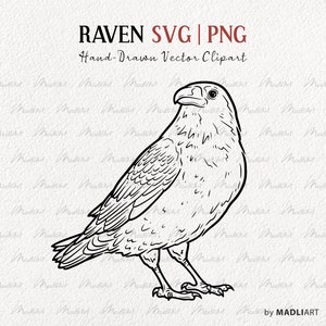 Raven SVG Clipart. Crow Vector Line Drawing. Halloween Crow Clipart. Bird Outline Art. Standing Raven Birds. SVG & PNG line art