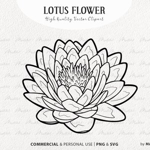 Clipart SVG del fiore di loto. Disegno della linea vettoriale della ninfea. Arte vettoriale fiore celeste. Contorno botanico, fiore di loto. SVG e PNG