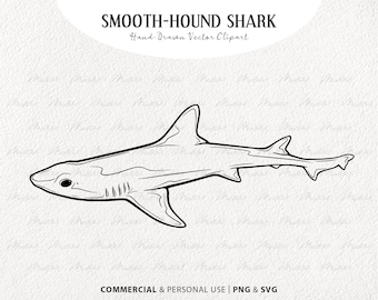 Smooth-Hound Shark SVG Clipart. Shark Vector Line Drawing. Ocean Animal Line Art. Marine Mammal Stamp. Commercial PNG & SVG