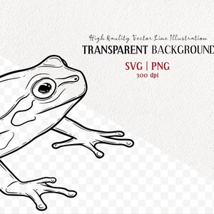 Tree Frog SVG Clipart. Frog Vector Drawing. Green, White and Red-Eyed Tree Frog. Reptile Outline Graphics. Commercial PNG & SVG image 2